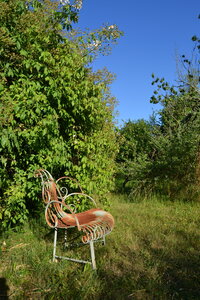 Jardin du Petit Chasseur mai 2017, DSC_0697