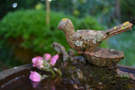 Jardin du Petit Chasseur mai 2017, DSC_0700