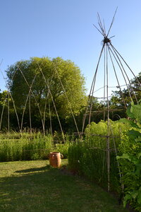 Jardin du Petit Chasseur mai 2017, DSC_0705