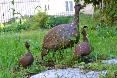 Jardin du Petit Chasseur mai 2017, DSC_0714