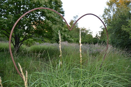Jardin du Petit Chasseur mai 2017, DSC_0717