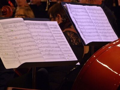 2017 NCS à Macon 2 : Le Concert, 17E263N563