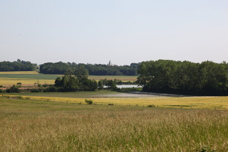 [17-04] - CAACL45 -En goguette sur les bords du Loing - Dimanche 28 mai 2017,  17-04  - CAACL45 -En goguette sur les bords du Loing - Dimanche 28 mai 2017 - IMG_7345