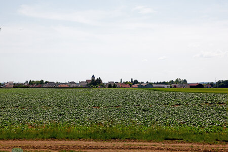 [17-04] - CAACL45 -En goguette sur les bords du Loing - Dimanche 28 mai 2017,  17-04  - CAACL45 -En goguette sur les bords du Loing - Dimanche 28 mai 2017 - IMG_7384