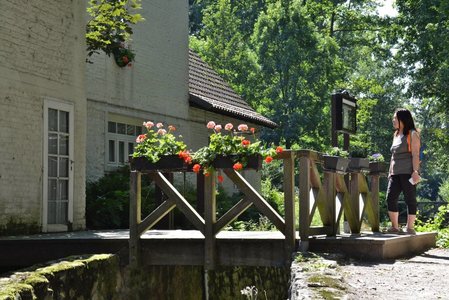 Moulins de Bruxelles, Lindekemale, Woluwé-Saint-Lambert