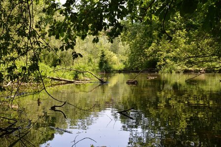 Moulins de Bruxelles, Lindekemale, Woluwé-Saint-Lambert