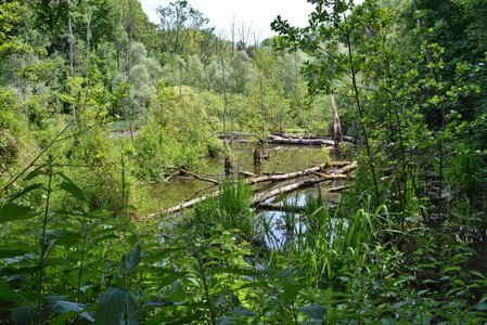 Moulins de Bruxelles, Lindekemale, Woluwé-Saint-Lambert