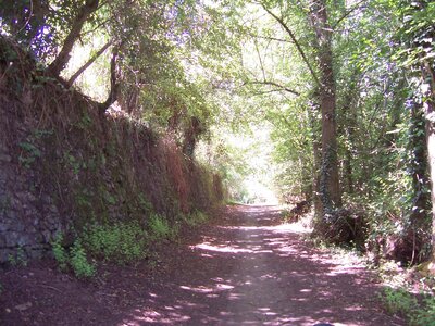 Bourg en Bresse - Pornic, 100_6164