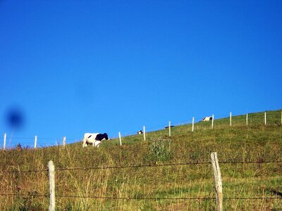 L'Auvergne en tricycle, 100_7201