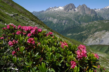 2017-07-01-07-mont-blanc, alpes-aventure-mont-blanc-aiguille-du-tour-2017-07-04-64