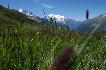 2017-07-01-07-mont-blanc, alpes-aventure-mont-blanc-aiguille-du-tour-2017-07-04-66