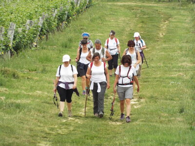 compostelle17, DSCF2548