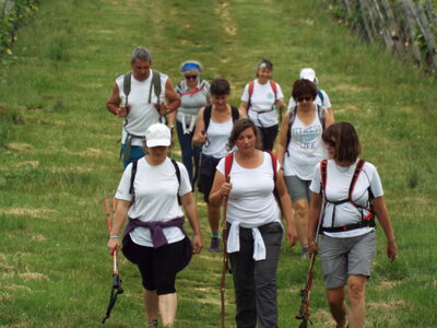 compostelle17, DSCF2549