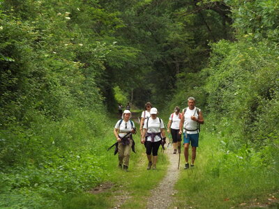 compostelle17, DSCF2550
