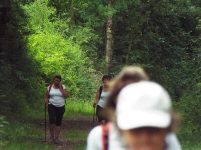 compostelle17, DSCF2551