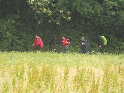 compostelle17, DSCF2569