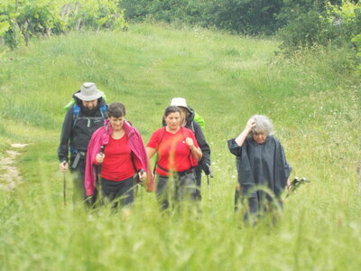 compostelle17, DSCF2577