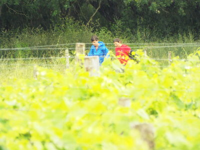 compostelle17, DSCF2582