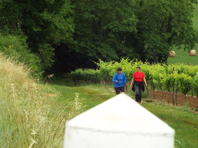 compostelle17, DSCF2584