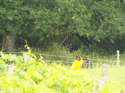compostelle17, DSCF2586