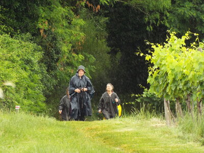 compostelle17, DSCF2587