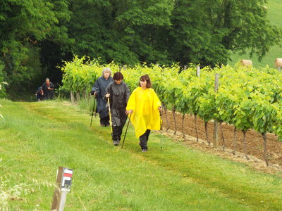 compostelle17, DSCF2591