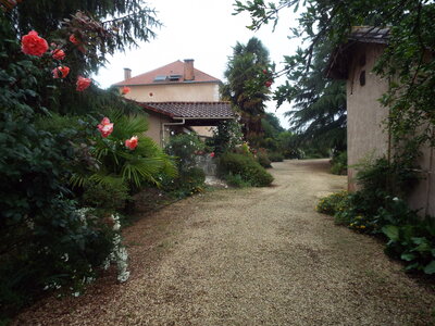 compostelle17, DSCF2607