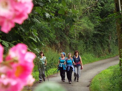 compostelle17, DSCF2615