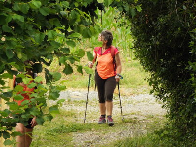 compostelle17, DSCF2670
