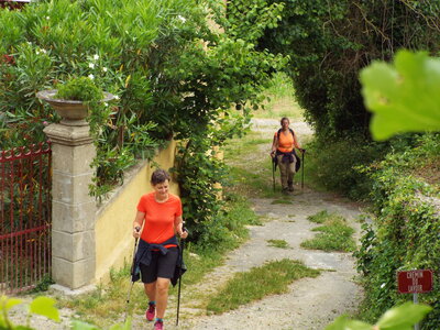 compostelle17, DSCF2673