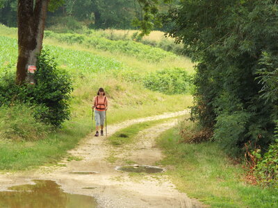 compostelle17, DSCF2675