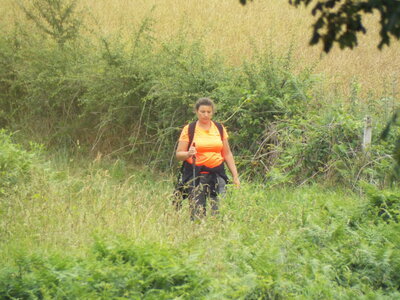compostelle17, DSCF2678