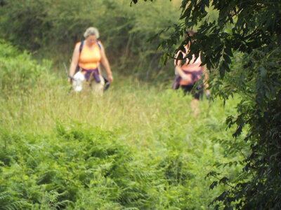 compostelle17, DSCF2681