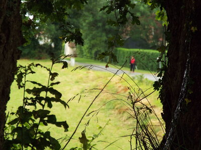 compostelle17, DSCF2699