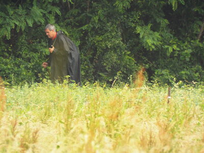 compostelle17, DSCF2566