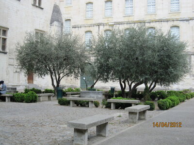 Avignon - Avril 2012, IMG_0500