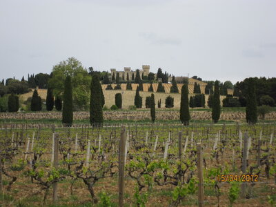 Avignon - Avril 2012, IMG_0543