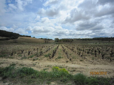 Avignon - Avril 2012, IMG_0558