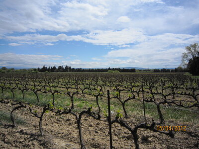 Avignon - Avril 2012, IMG_0563