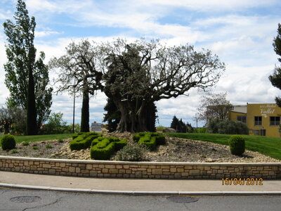 Avignon - Avril 2012, IMG_0565