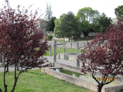 Avignon - Avril 2012, IMG_0599