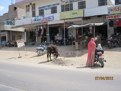 Inde (Rajasthan) - Avril_Mai 2012 - Album N° 1, IMG_0697