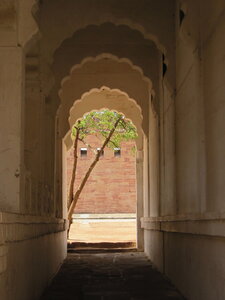 Inde (Rajasthan) - Avril_Mai 2012 - Album N° 1, IMG_0826