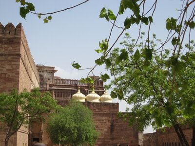 Inde (Rajasthan) - Avril_Mai 2012 - Album N° 1, IMG_0842