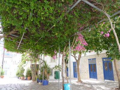 Vacances en Grèce - Hydra Beach Resort Hôtel, P1120194
