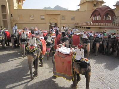 Inde (Rajasthan) - Avril_Mai 2012 - Album N° 1, IMG_0963