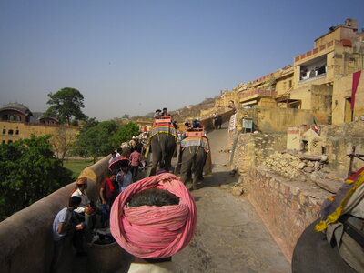 Inde (Rajasthan) - Avril_Mai 2012 - Album N° 1, IMG_0965