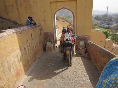 Inde (Rajasthan) - Avril_Mai 2012 - Album N° 1, IMG_0971