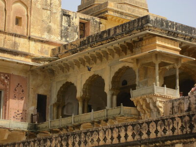 Inde (Rajasthan) - Avril_Mai 2012 - Album N° 1, IMG_1131