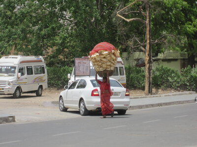 Inde (Rajasthan) - Avril_Mai 2012 - Album N° 1, IMG_1140